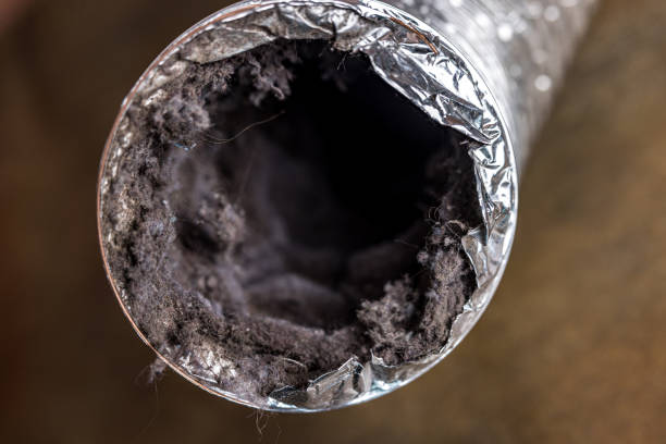 Best Dryer Vent Cleaning Services  in Kahoka, MO