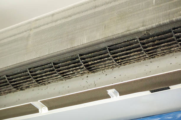 Best Air Duct Cleaning Near Me  in Kahoka, MO